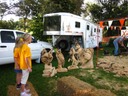 IMG_3113(1)